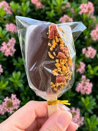 Cake Pops — example 1